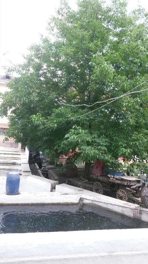 Ağlasun Alanlar Alabalik Ve Otel المظهر الخارجي الصورة